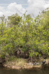 everglades national park