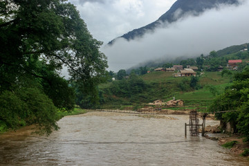 lush green rice fields in sapa vietnam