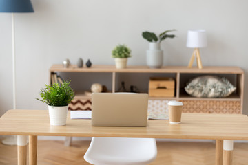 Neat cozy workplace with laptop, coffee and green plant on it for education in light apartment,...