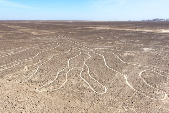 The Tree Nazca Line Seen From Observation Deck, Peru