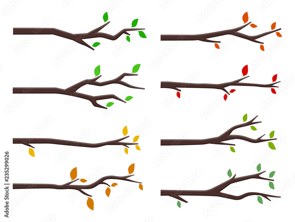 Wall mural vector set of tree branches in flat design style