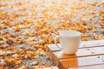 Autumn Fall Background with maple leaves and white cup - Autumn Card for your design, top view with copy space