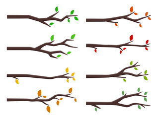 Vector set of tree branches in flat design style © D Graphics