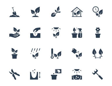 Vector plant growing and cultivating icon set