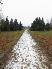 Fototapeta na wymiar The track is covered with snow in a Park