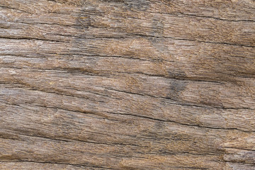 Closeup of cracked wooden board texture. Old wood background.