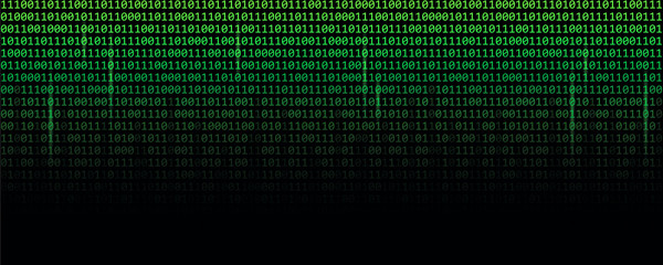 binary data code green matrix web technology vector illustration EPS10