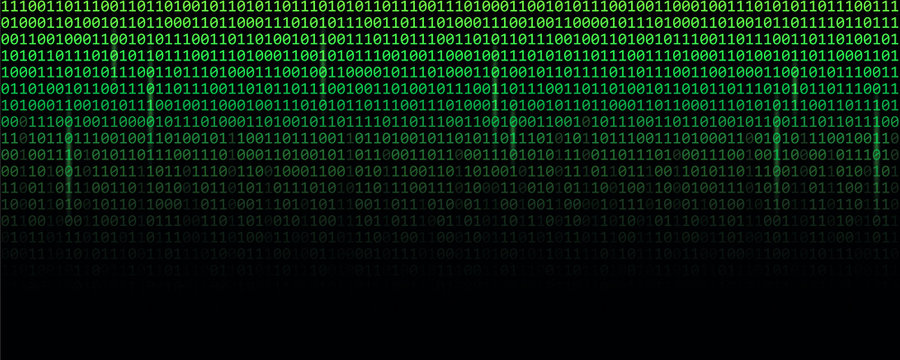 binary data code green matrix web technology vector illustration EPS10