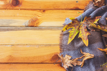 Autumn falling maple leaves on background