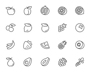 Vector fruits icon set in thin line style