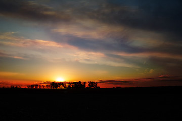 Sunset in the field. The sun sets behind the trees.