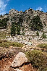 Beautiful landscape and high mountains in the area of Gorges de la Restonica on the island of Corsica