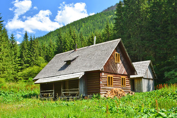 Wooden cottage house in the mountains in summer