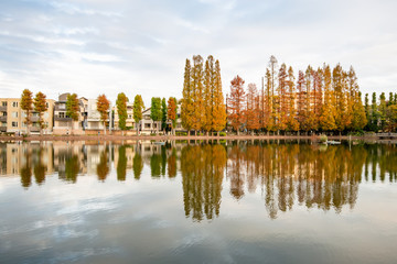 秋の別所沼公園 さいたま市南区