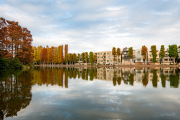 Fototapeta premium 秋の別所沼公園 さいたま市南区