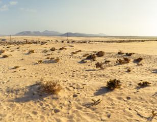 Corralejo Dunes with Volcanic Mountains in the Baclground in Fuerteventura, Canary Islands