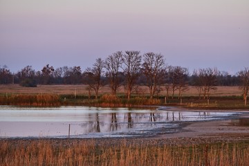 Sonnenuntergang im Nationalpark Neusiedler See - Seewinkel