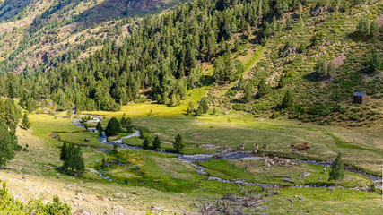 Beautiful Landscape in the High Pyrenees in Pallars Sobira, Catalonia