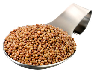 SPOONFUL OF MUTH/MOTH BEANS CUT OUT