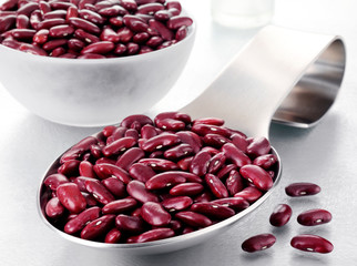 SPOONFUL OF VARIEGATED RED KIDNEY BEANS