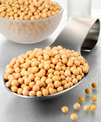 SPOONFUL OF SOYA BEANS