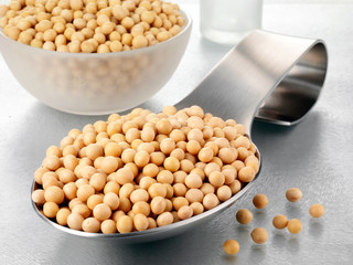 SPOONFUL OF SOYA BEANS