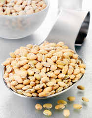 SPOONFUL OF VAL BEANS / HYACINTH BEANS