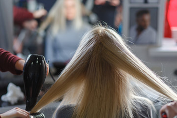 Two masters at the same time dried with hair dryers hair