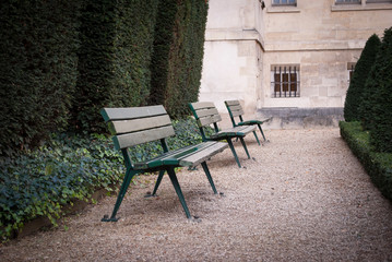 Fototapeta na wymiar Wooden benches in a city park.