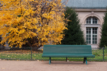 Green bench in a city park in autumn.