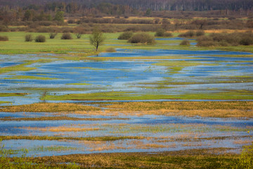 Landscape with Biebrza river near Goniadz, Podlaskie, Poland - 235308244