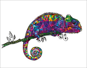 drawing of a colorful chameleon © sfischka