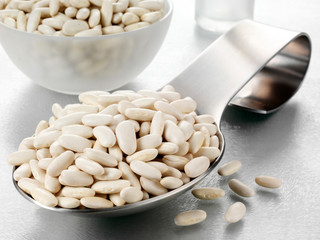 SPOONFUL OF ALUBIA BEANS CANNELLINI BEANS