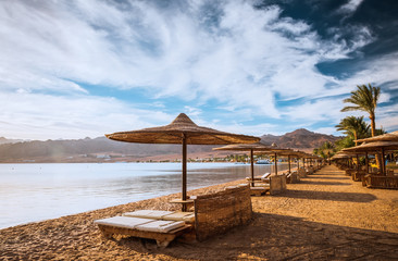 Relax under parasol on the beach of Red Sea Egypt