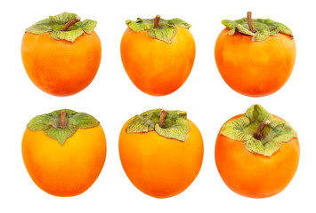 persimmon