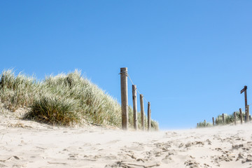 Dunne at the Dutch North Sea. Wadden sea, Friesland, Texel.