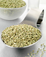 SPOONFUL OF FENNEL SEED