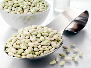 SPOONFUL OF FLAGEOLET BEANS