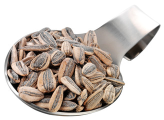 SPOONFUL OF ROASTED SUNFLOWER SEEDS CUT OUT