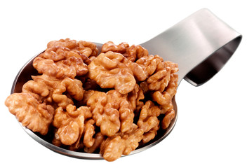SPOONFUL OF WALNUTS CUT OUT