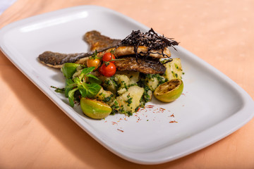 Grilled trout, two slices with vegetables served on a plate