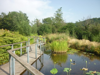 Jardin d 'eau