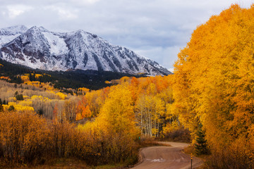 Obraz premium Autumn in Colorado
