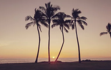 Fototapeten Hawaiian sunset © Galyna Andrushko