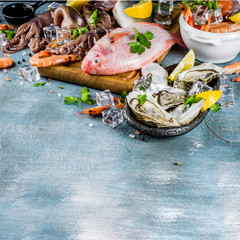 Fresh raw seafood squid shrimp oyster mussels fish with spices of herbs lemon on a light blue background copy space