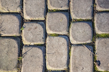 Gray paving stones in the park closeup