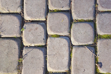 Gray paving stones in the park closeup