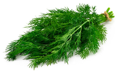 Fototapeta premium bunch fresh green dill isolated on white background