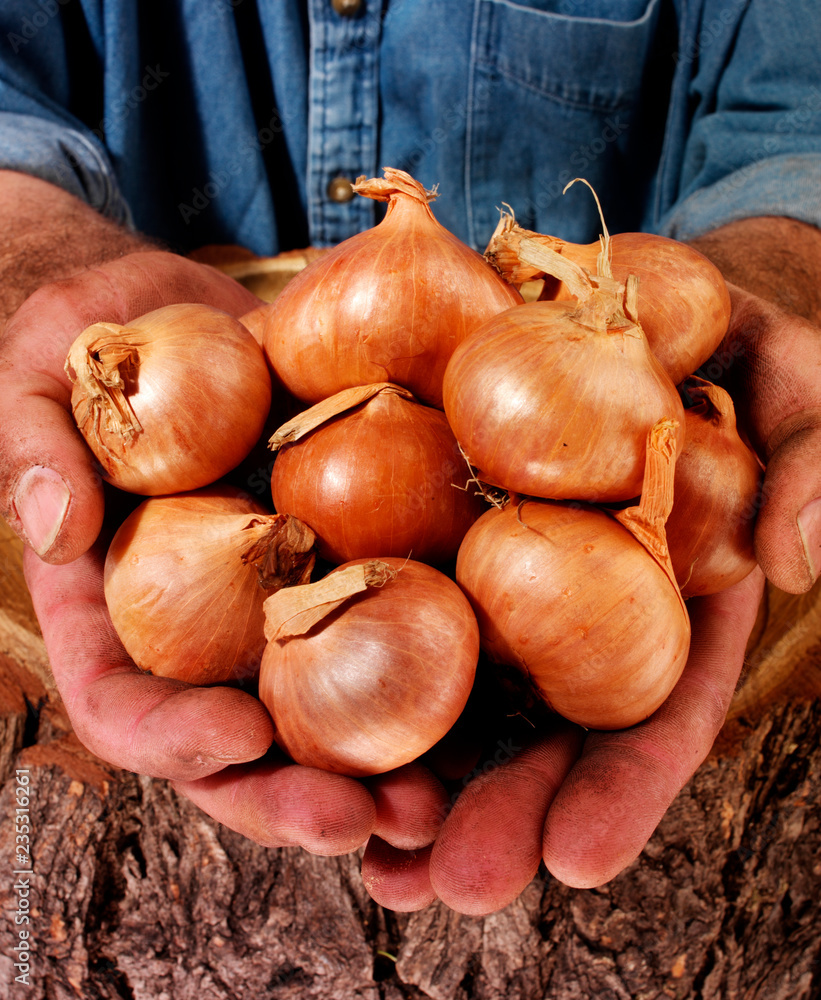 Poster farmer holding shallots