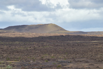 Canary Island desert
